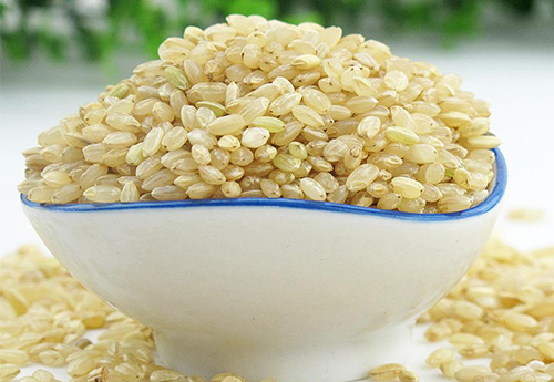 吉林发芽糙米什么季节吃更好